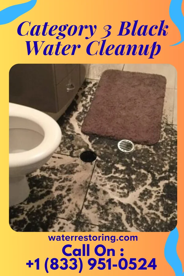 Category 3 Black Water Cleanup in White Oak, OH