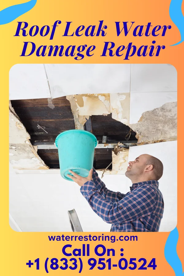 Roof Leak Water Damage Repair in White Oak, OH