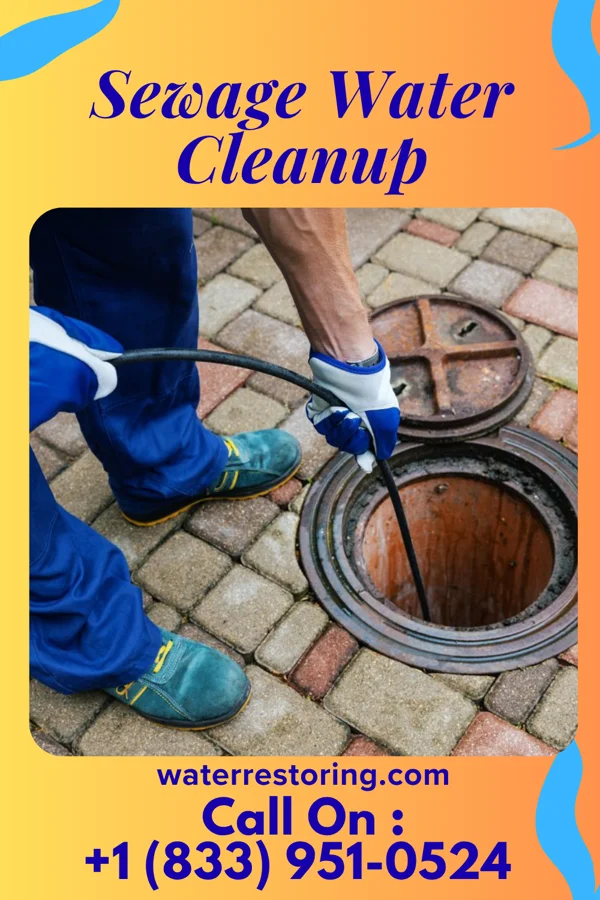 Sewage Water Cleanup in White Oak, OH