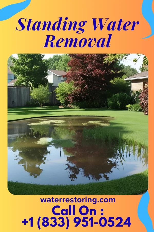 Standing Water Removal in White Oak, OH